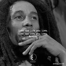 Evolver Social Movement