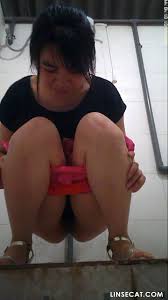 Chinese toilet voyeur: hidden camera in shopping mall, fixed angle [23] -  Stingy cat