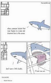 Misunderstood Shark Funny Comics Funny Pictures Stupid Funny Memes