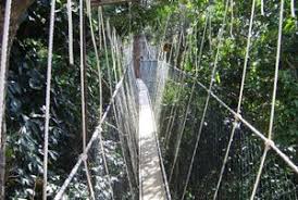 Taman negara spans across three states, pahang, kelantan and terengganu, each with its own legislation. Taman Negara National Park Wikitravel