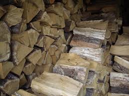 Case numbers started to rise earlier than they did before. Hantavirus In Lippe Radio Lippe