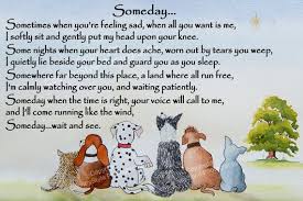 Check spelling or type a new query. Pet Dog Memorial Keepsake Rainbow Bridge Gift Magnetic Etsy