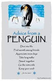 Don't forget to confirm subscription in your email. 16 Inspirational Quotes With Penguins Best Quote Hd