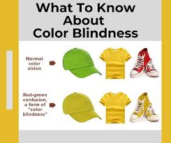 Image result for Color Blindness
