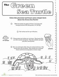 Sea Turtle Activity Placemat Worksheet Education Com Turtle Activities Sea Turtle Sea Turtle Lesson