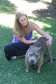 Reiki For Animals A Redondo Beach Woman Heals Rescued Dogs And Finds Healing Herself Easy Reader News