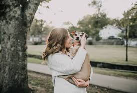 Check our tips to reduce the cost pet insurance providers pay out millions in claims and yet the cost of premiums has dipped in recent years. Pet Insurance Cost How Much Can You Expect To Pay For Coverage