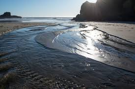 Cooks Beach - Redwood Coast Land Conservancy