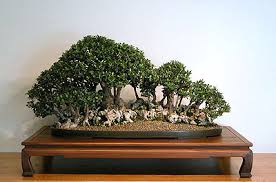 Grouping Www Ppbi Cabang Tasikmalaya Com