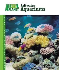Setup Care Of Saltwater Aquariums Animal Planet Pet Care