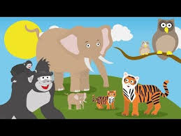 1 Baby Animal Videos For Toddlers Toddler Fun Learning Youtube Baby Animal Videos Baby Animals Animal Gifs