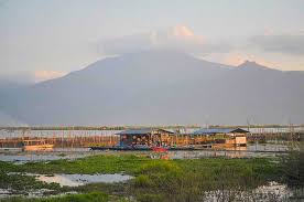 Check spelling or type a new query. Contoh Hasil Wawancara Desaku Yang Kaya Kelas 5 Tema 1 Subtema 2 Semua Halaman Adjar