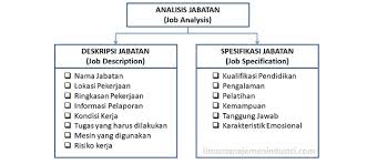 Job analysis is a process to identify and determine in detail the particular job duties and requirements and the relative importance of these duties for a given job. Deskripsi Jabatan Dan Spesifikasi Jabatan Ilmu Manajemen Industri