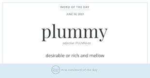 Word Of The Day Plummy Word Of The Day Words Uncommon Words