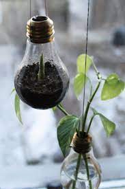 Lightbulb Seedling Garden Terrarium Lightbulb Repurposed Planting Bulbs Recycled Light Bulbs Plants