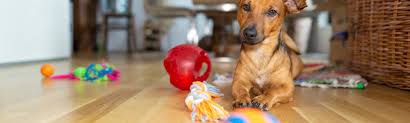 Mar 13, 2017 · this diy dog puzzle took me just two minutes to make and kept my two canine kids busy for upwards of an hour. 10 Pawsome Diy Dog Toys Petspyjamas