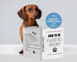books and websites about DIY pet goodsの画像