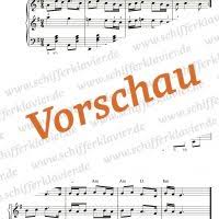 We did not find results for: Akkordeon Noten Schifferklavier