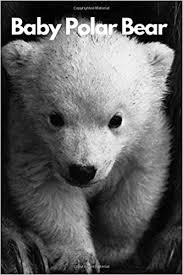 Your use of our printables is subject to our licensing terms and terms of use. Baby Polar Bear Animal Notebook For Kids Notebook For Coloring Drawing And Writing 110 Pages Blank 6 X 9 Animal Notebook Notebook Animal Journals Notebooks 9781096044987 Amazon Com Books