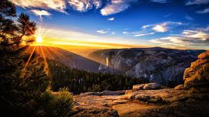 Mountain Sunset Wallpapers Top Free Mountain Sunset Backgrounds Wallpaperaccess Spruce trees on the green grassy meadow of gubalowka range.