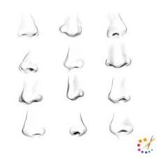 How to draw mouth step by step? How To Draw A Nose Step By Step For Kids Beginners