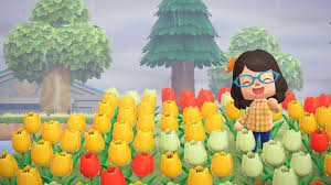 When you first start on your island, you for more details, see our how to get lilies of the valley and gold roses guide. Plant Animal Crossing Wiki Fandom