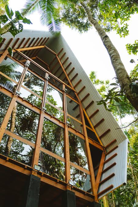 Monkey House / Atelier Marko Brajovic | ArchDaily