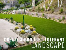 Nowadays, it has become more popular, especially in a region with a lack of water or little. Create A Drought Tolerant Landscape Turf Pros Solution