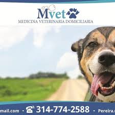 Mvet Medicina Veterinaria Domiciliaria