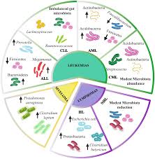 Image result for Hematologic Cancer