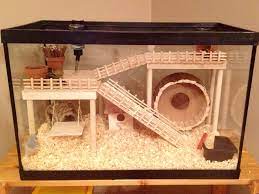 Hamster Cage Diy Aquarium Conversion Hamster Diy Hamster Diy Cage Hamster Cage