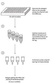 How Does Soap Affect Membrane Permeability? Which Component Of The Membrane  Does It Affect? - Biology Stack Exchange