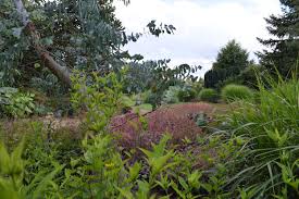 Botanischer Garten Dusseldorf