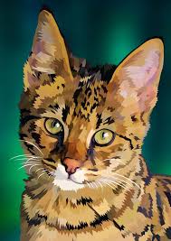 Pop tv is a slovenian generalist television channel operated by pro plus d.o.o., a subsidiary of central european media enterprises (cme), which is in turn owned by american telecommunication company at&t. Vector Kitten By Elviranl On Deviantart Pop Art Cat Pop Art Animals Cat Painting