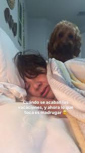 Bistec Encebollao' Blandito ✨Este corte es Sirloin Típ Steak 🥩 ✨Lo lavo  primero con agua y luego le exprimo limón, lo adobo con ajo, sofrito, sazón  con color , orégano y cebolla