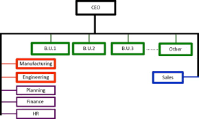 matrix organization an overview sciencedirect topics