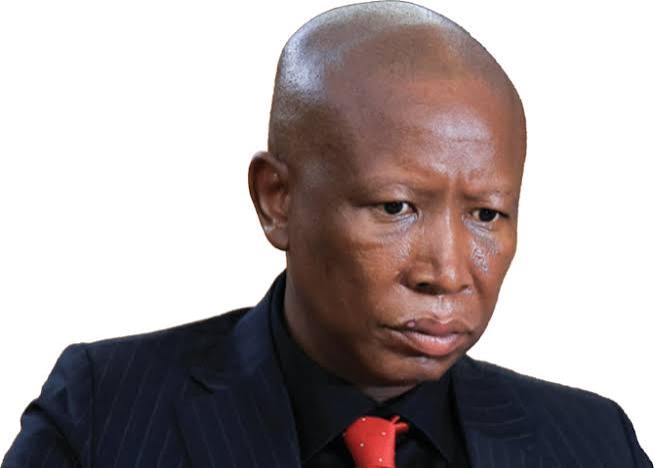 South African politician Julius Malema sentenced to 5 years for firing rifle shots at rally | Arab News