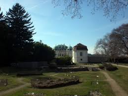 Der ursprünglich auf einem areal von etwa einem hektar angesiedelte garten ist mittlerweile. Monumentale Baume Im Botanischer Garten Der Universitat Wien In Fasanviertel Wien Osterreich