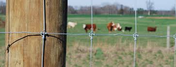 Fence stays will reduce fencing costs by allowing the use of fewer fence posts. Pasture Management Provides Various Wires Farm Gates And Wood Posts