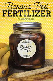 Banana Peel Fertilizers For The Garden Compost Tea Organic Vegetables Organic Vegetable Garden