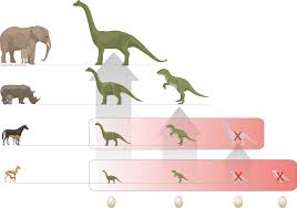 Am ende der kreidezeit, vor etwa 65 millionen jahren, starben die dinosaurier aus. Uzh Media Das Eierlegen War Der Anfang Vom Ende Der Dinosaurier