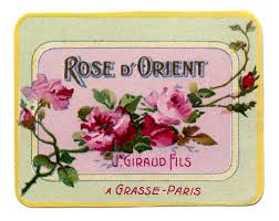 Dm ferry bulbs & seeds via biodiversity heritage library. 780 The Graphics Fairy Printables Projects Ideas In 2021 Graphics Fairy Vintage Graphics Vintage Images