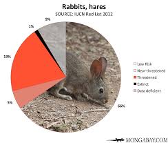 Chart Endangered Rabbits