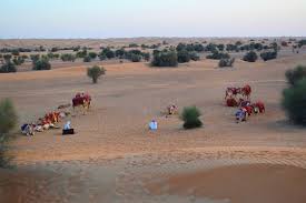 Desert Escape To Al Maha Resort, Dubai