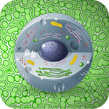 Maybe you would like to learn more about one of these? Biology Dictionary 1 6 Download Android Apk Aptoide