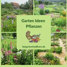 Biogarten Fullhorn Gartnern Mit Effektiven Mikroorganismen Biogarten Garten Pflanzen Garten