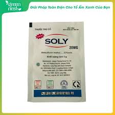 Soly 20WG