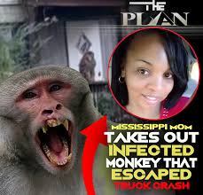 You can't make this stuff up — only in Mississippi, y'all. A truck full of  research monkeys overturned