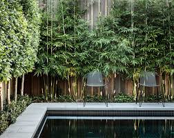 This diy vertical planter requires just a pot, some twine, bamboo sticks, and a gardening net. Best Artificial Bamboo Plants Perfect For Outdoor Privacy Screens Posh Pennies