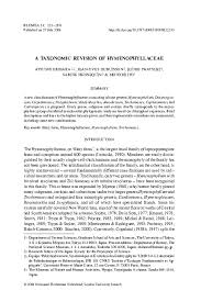 Image result for Trichomanes crispiforme